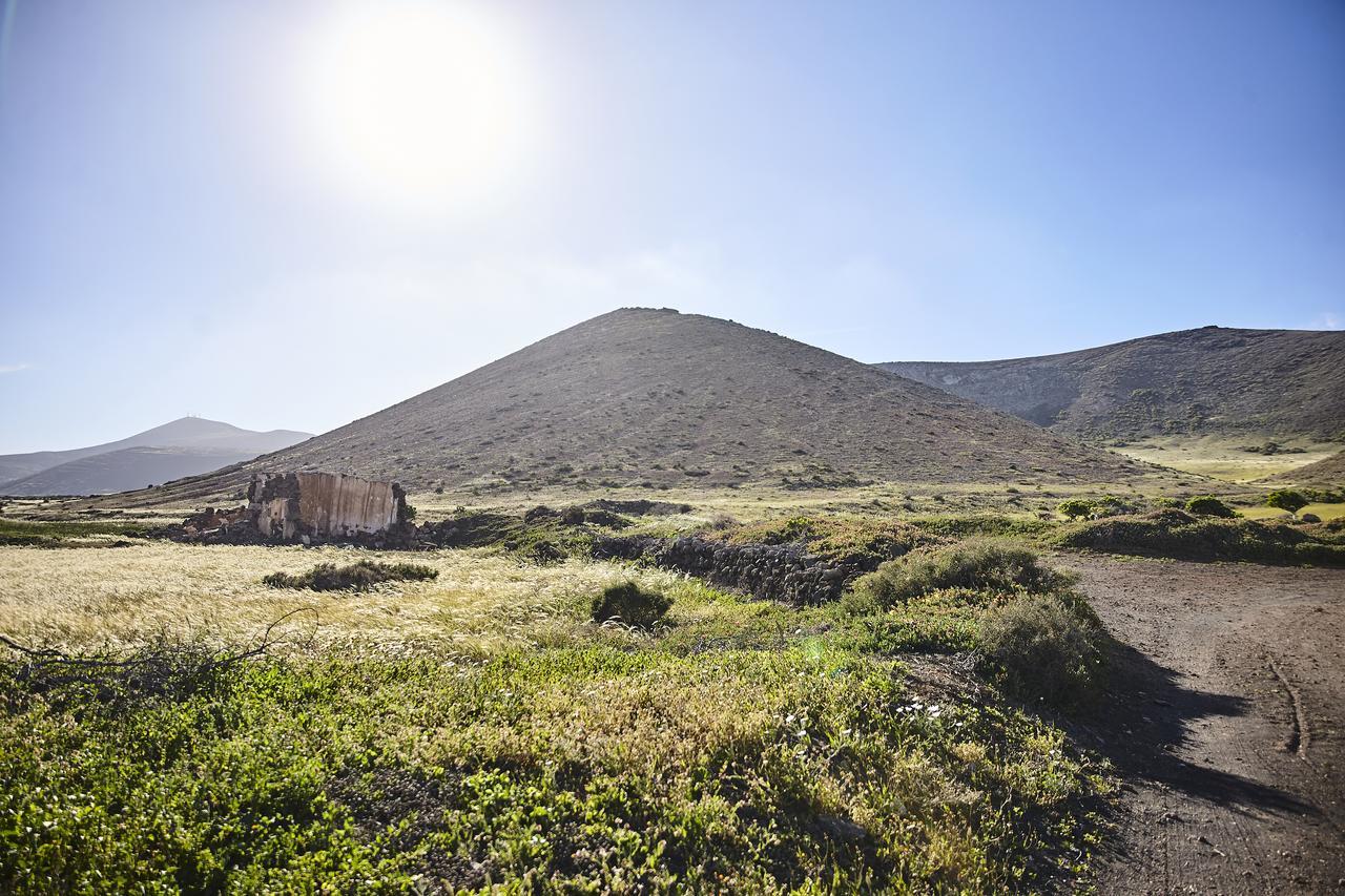 Villa Palmeras Canarias Uga Bagian luar foto
