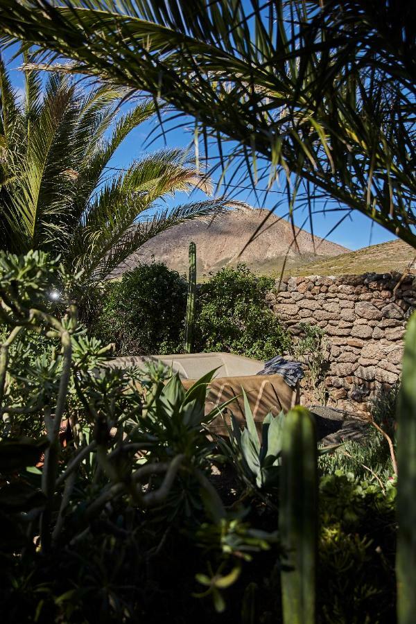 Villa Palmeras Canarias Uga Bagian luar foto
